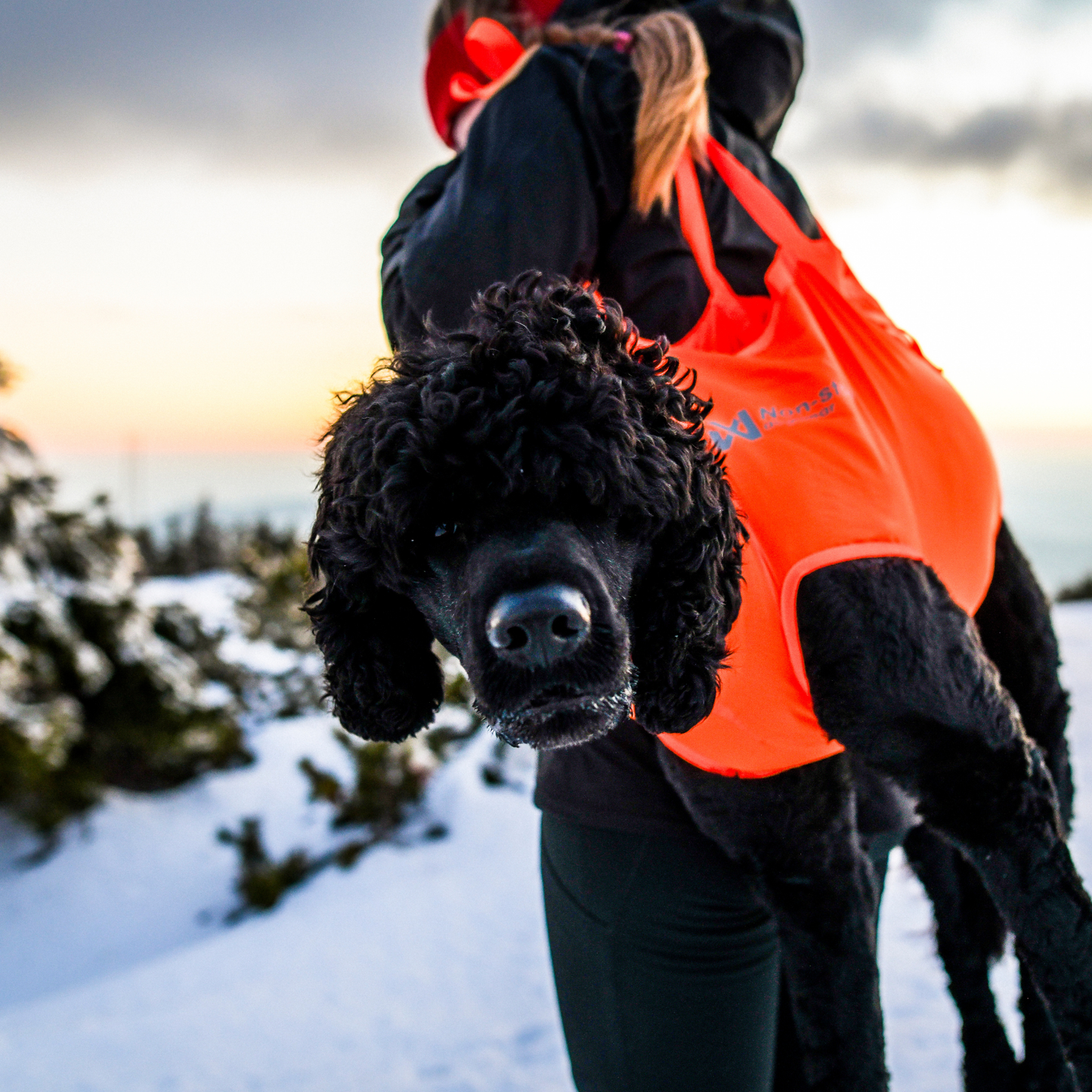 Dog rescue sling