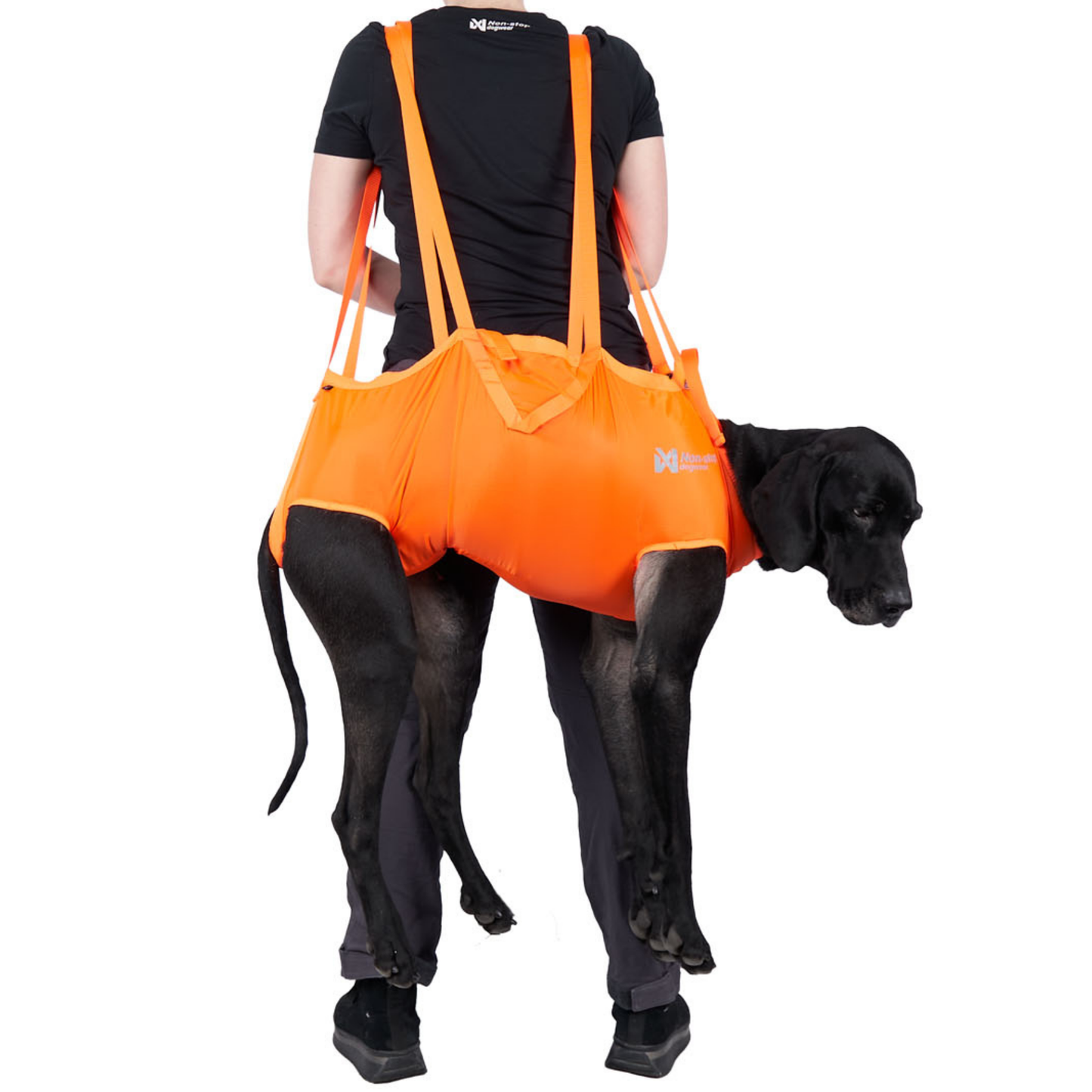 Dog rescue sling