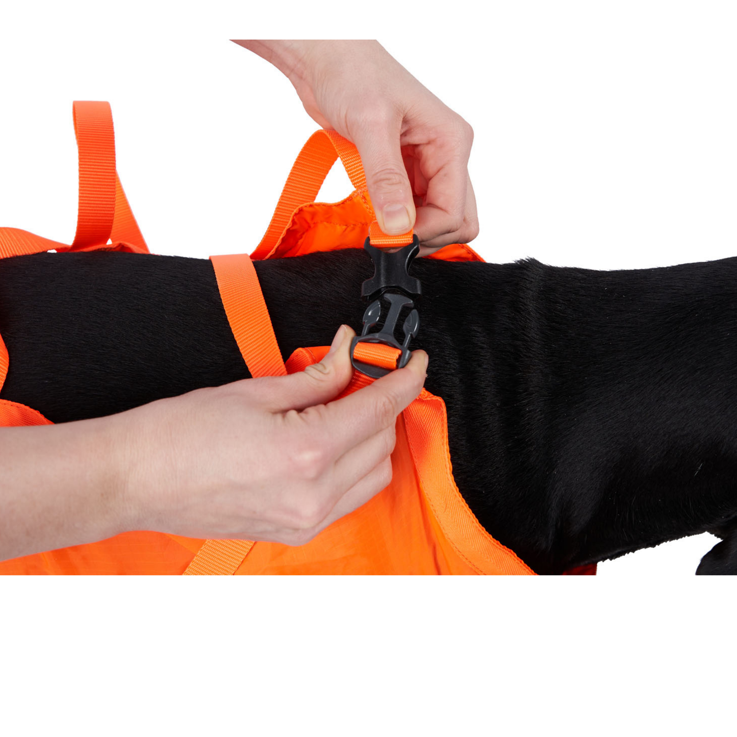 Dog rescue sling