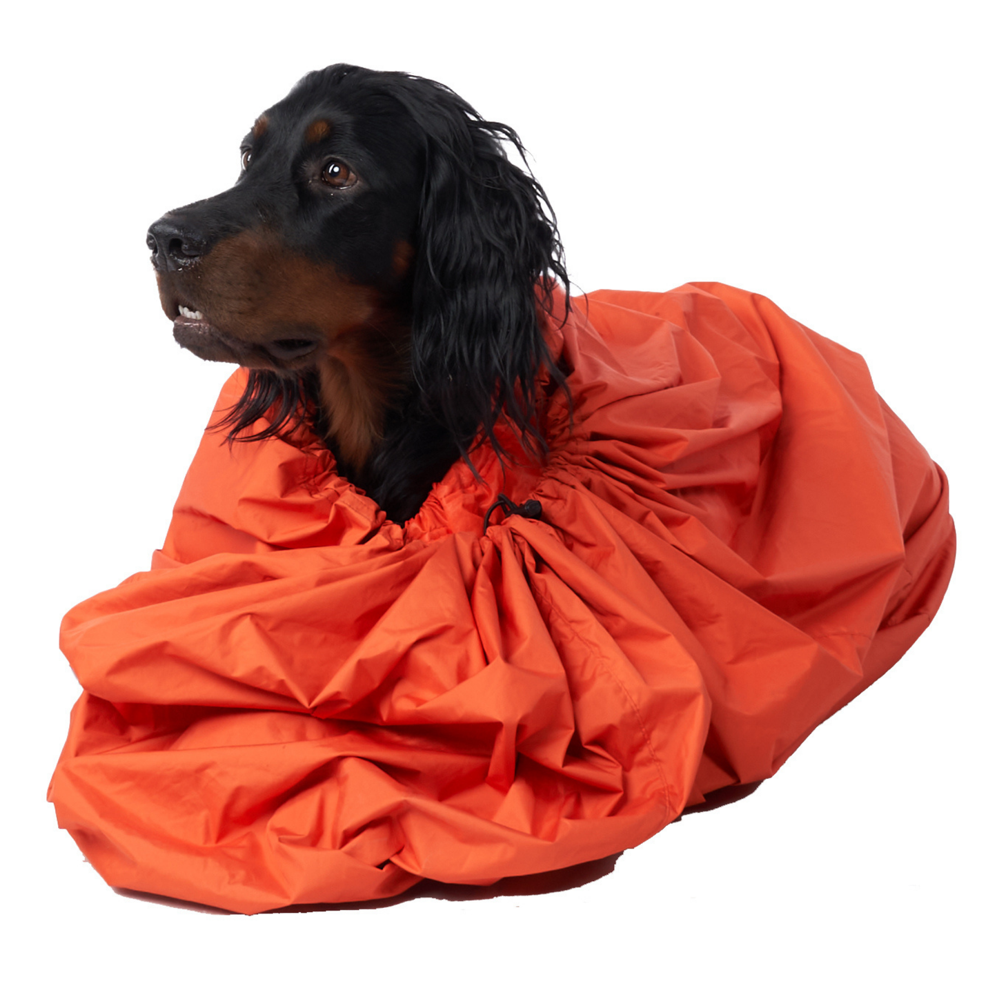 Protector Bivvy Bag