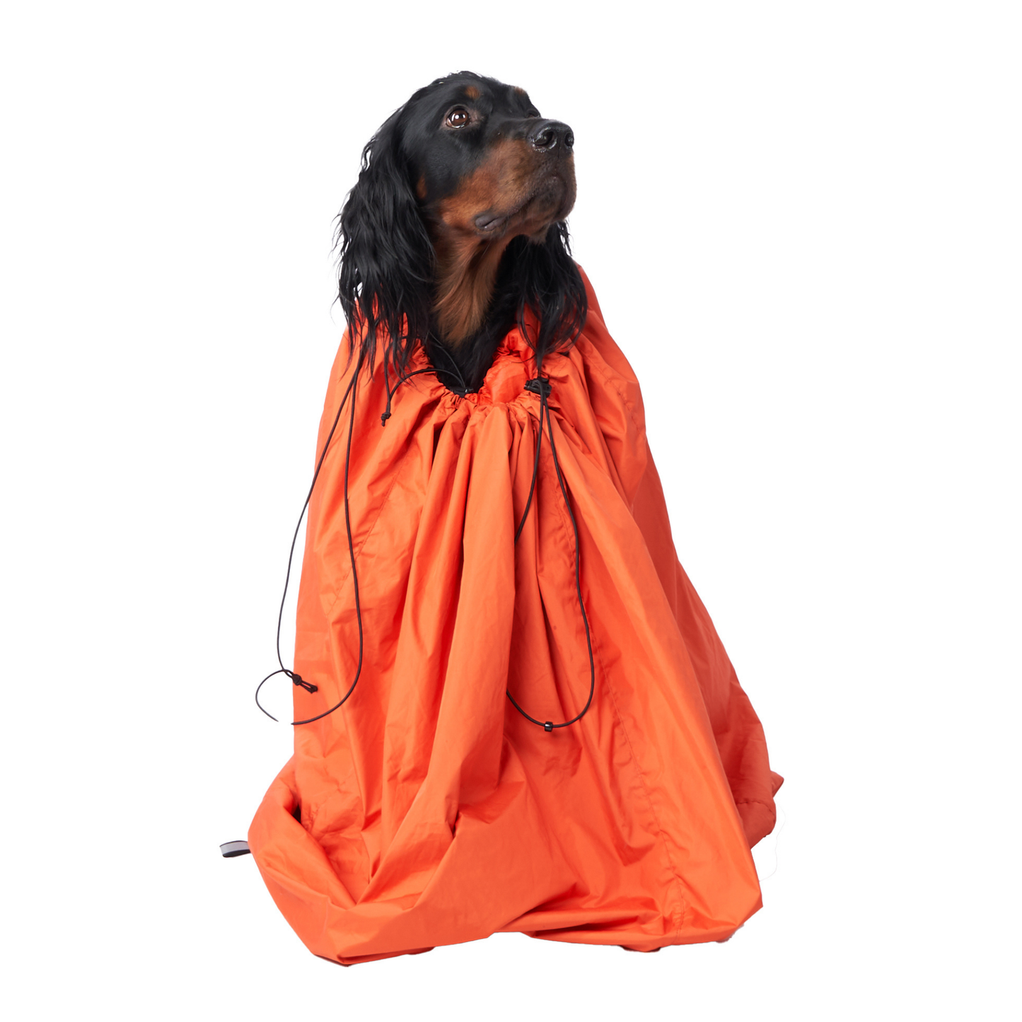 Protector Bivvy Bag