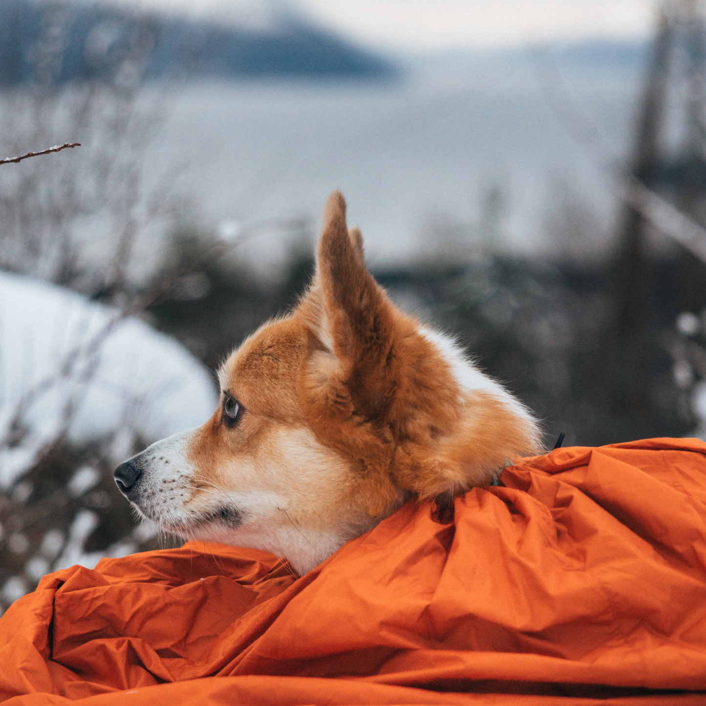 Protector Bivvy Bag