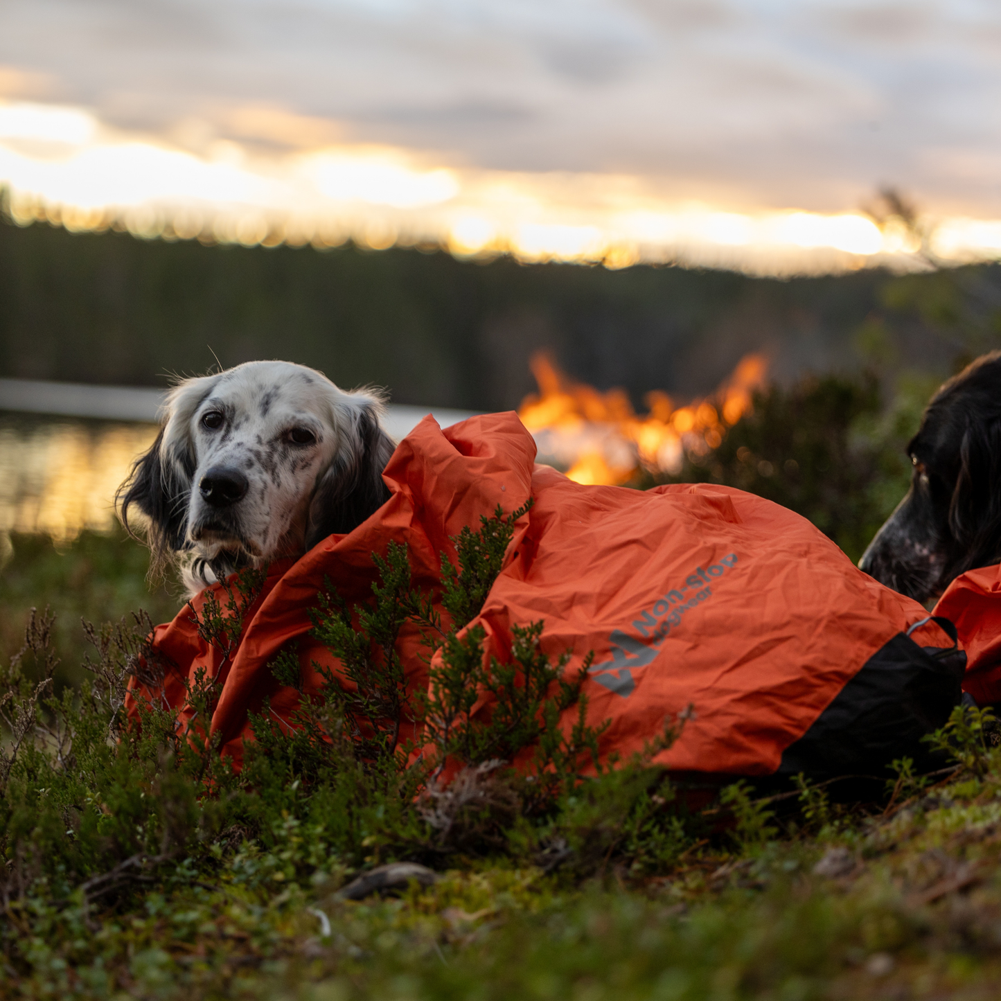 Protector Bivvy Bag