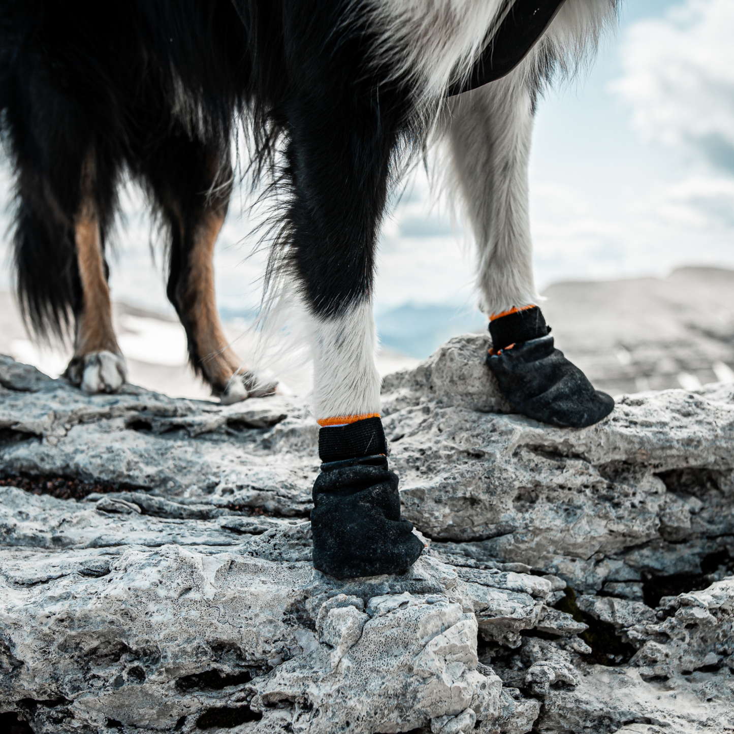 Protector bootie