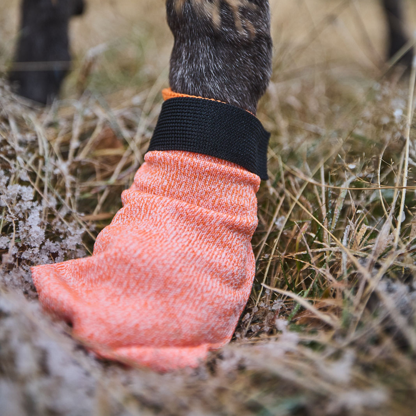 Protector light socks