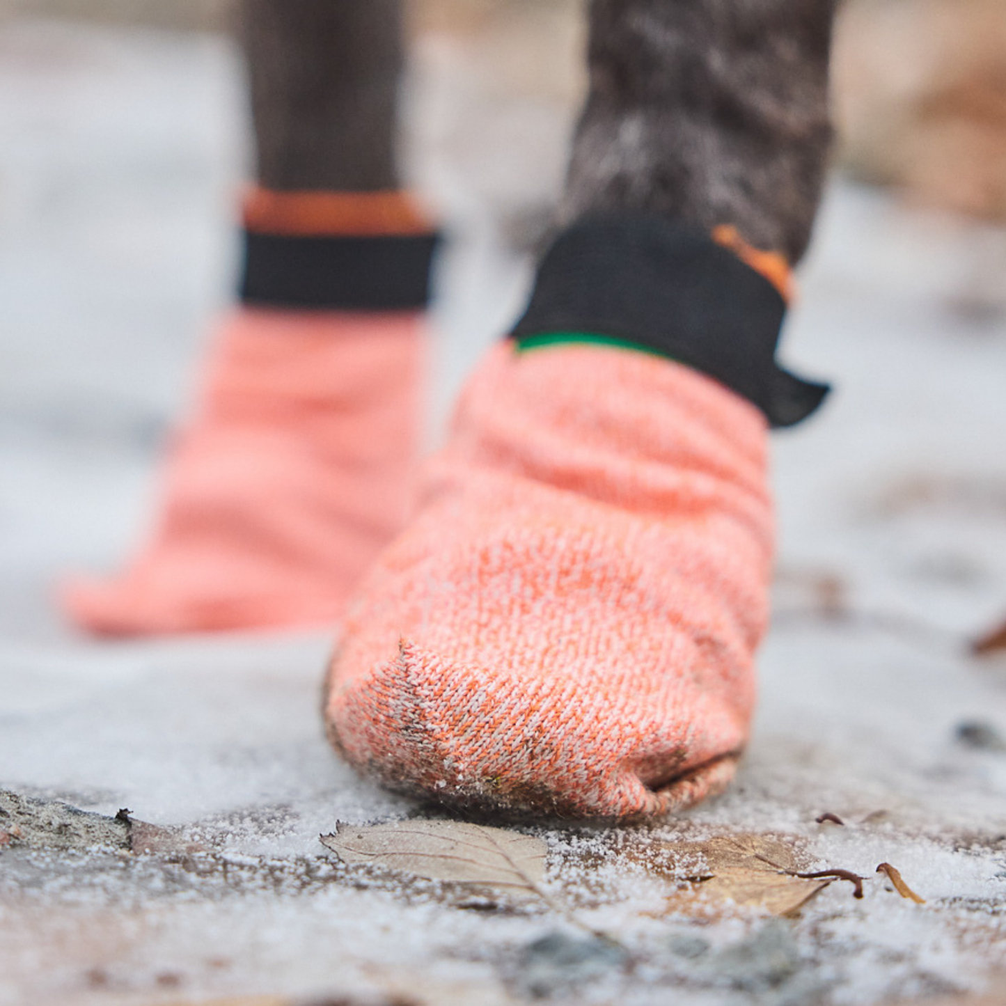 Protector light socks