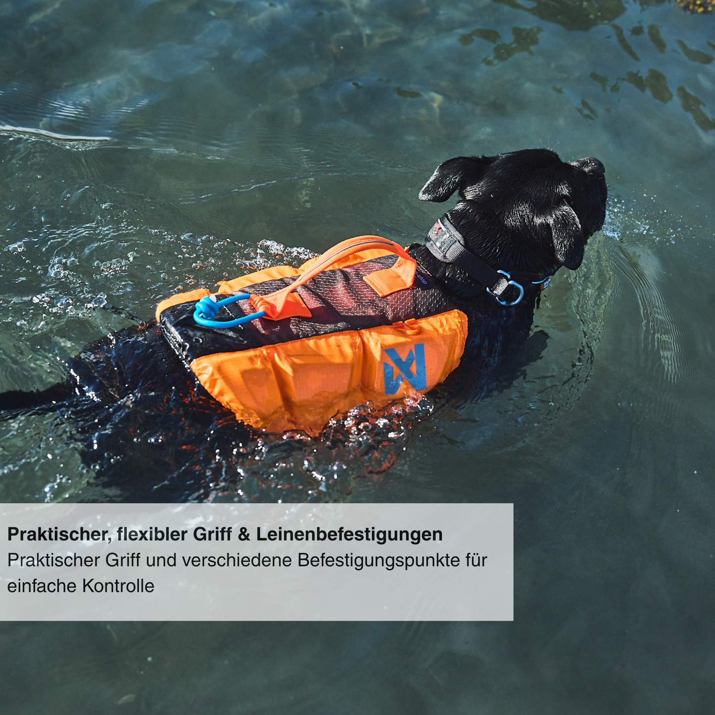Protector life jacket