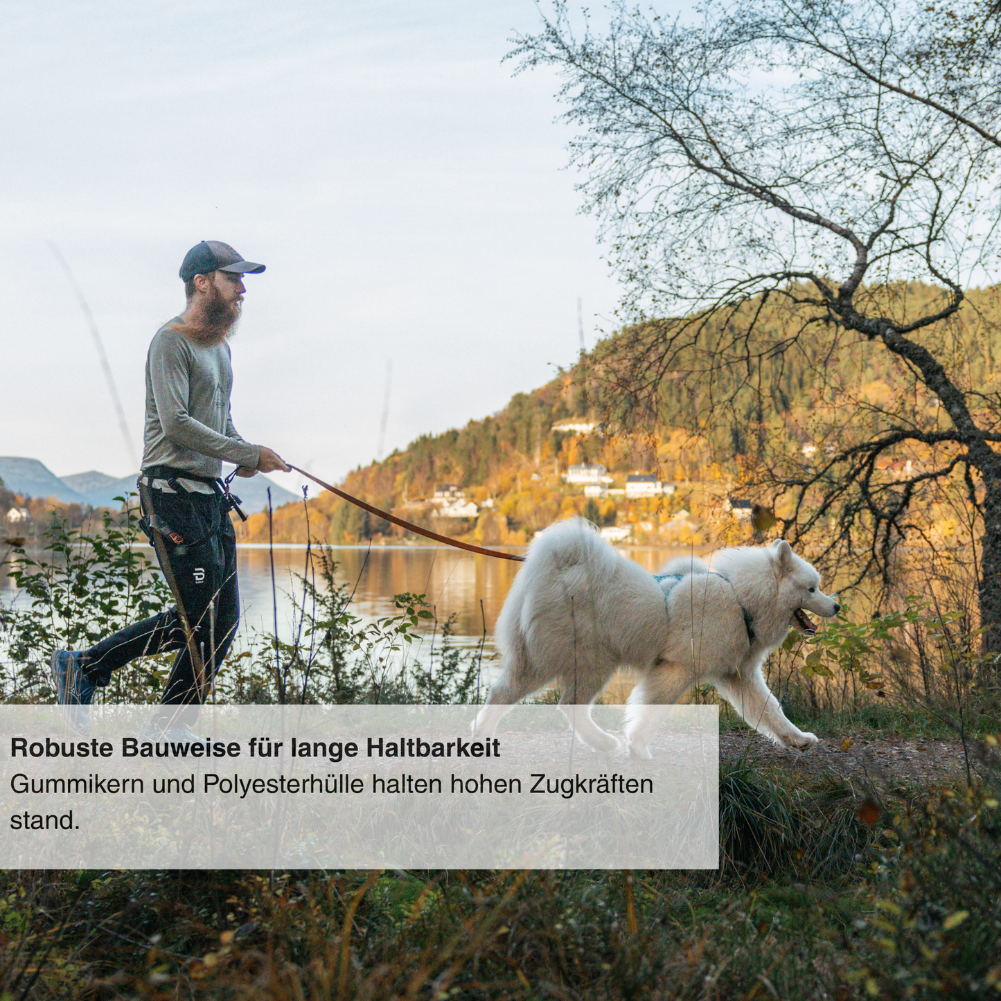 Bungee leash