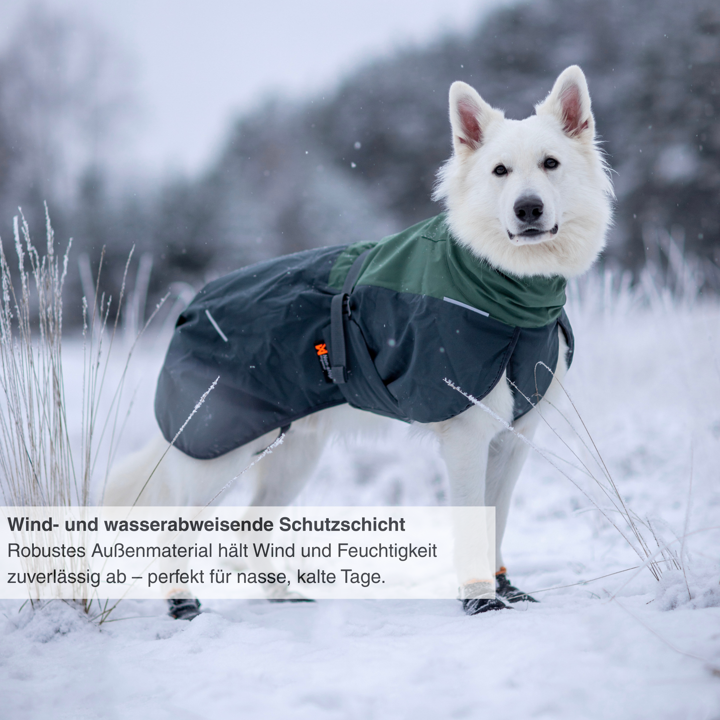 Glacier wool jacket 2.0