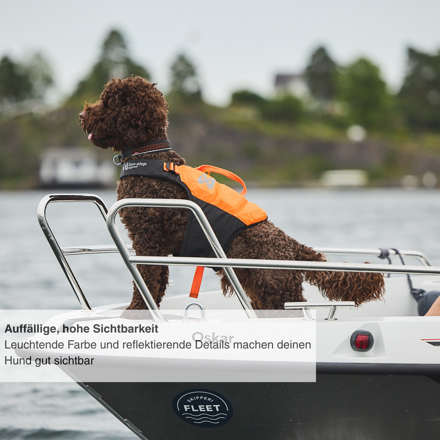 Protector life jacket