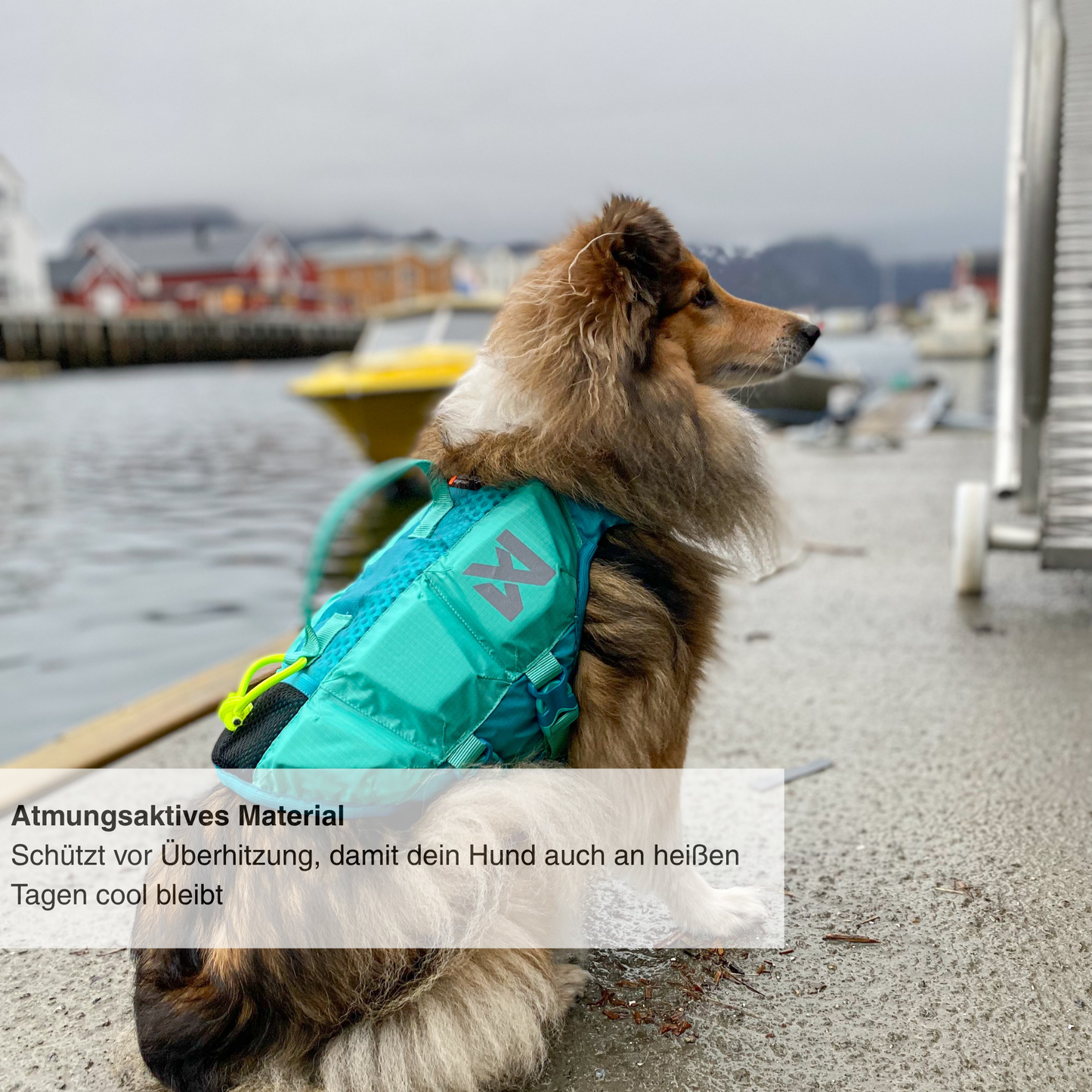 Protector life jacket