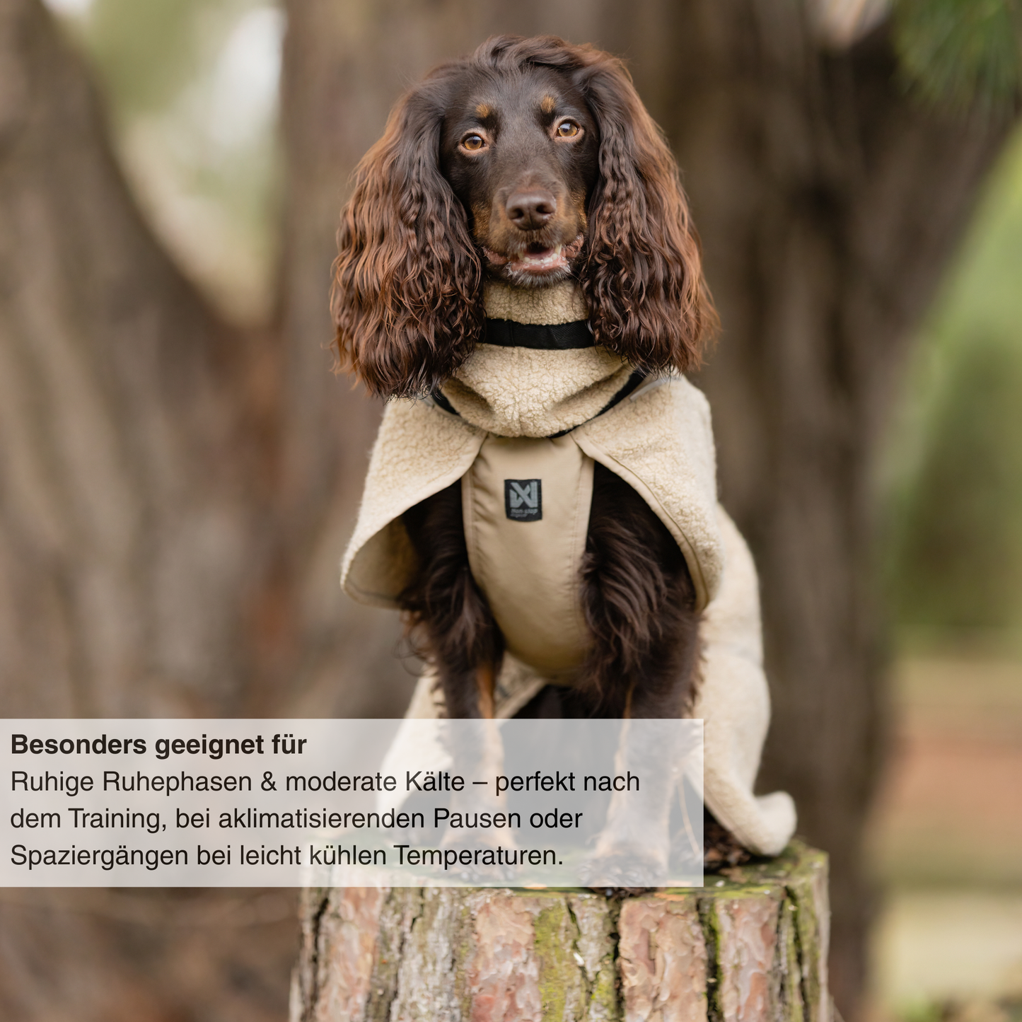 Wool dog jacket
