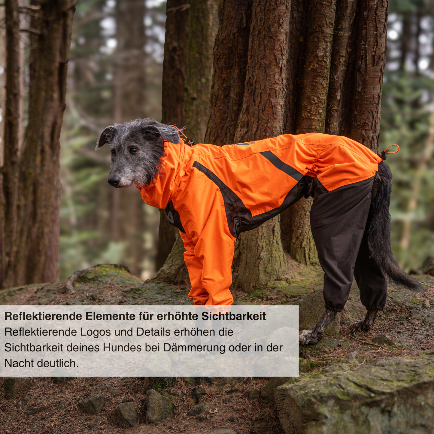 Fjord Overall Raincoat