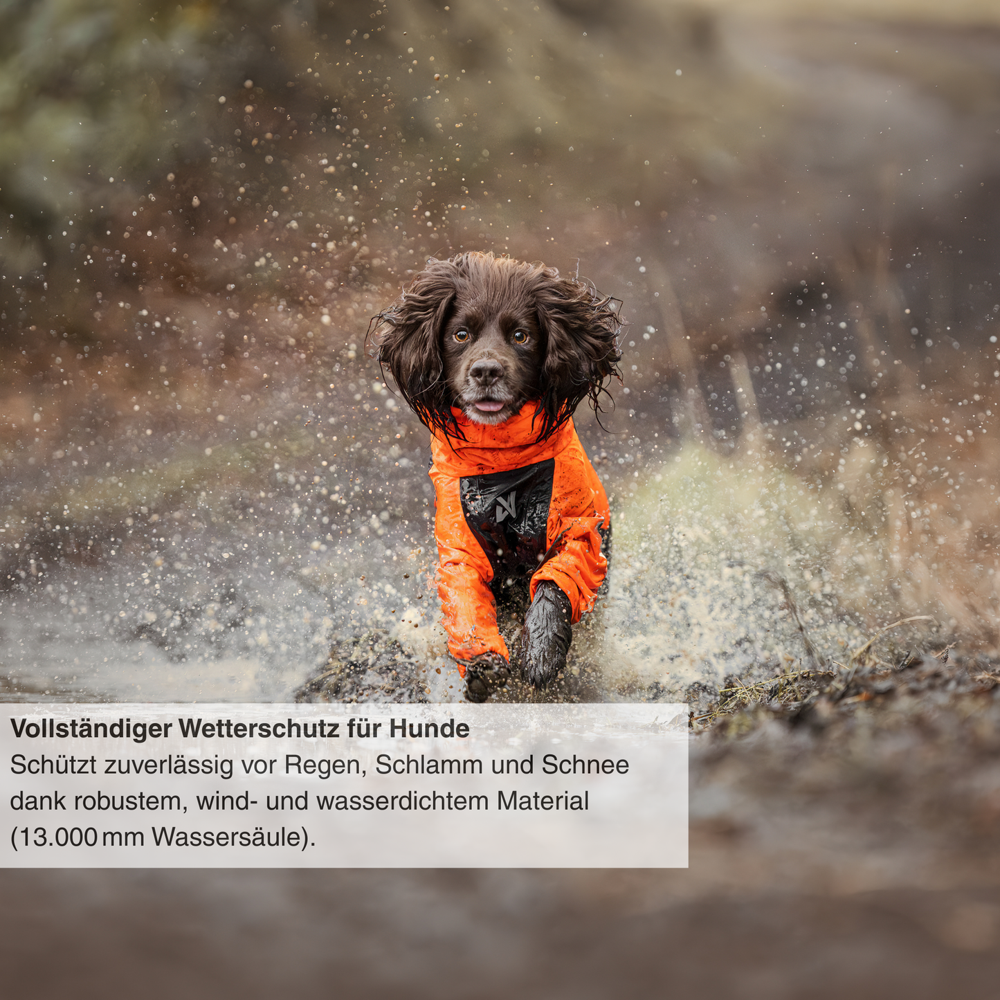 Fjord Overall Raincoat