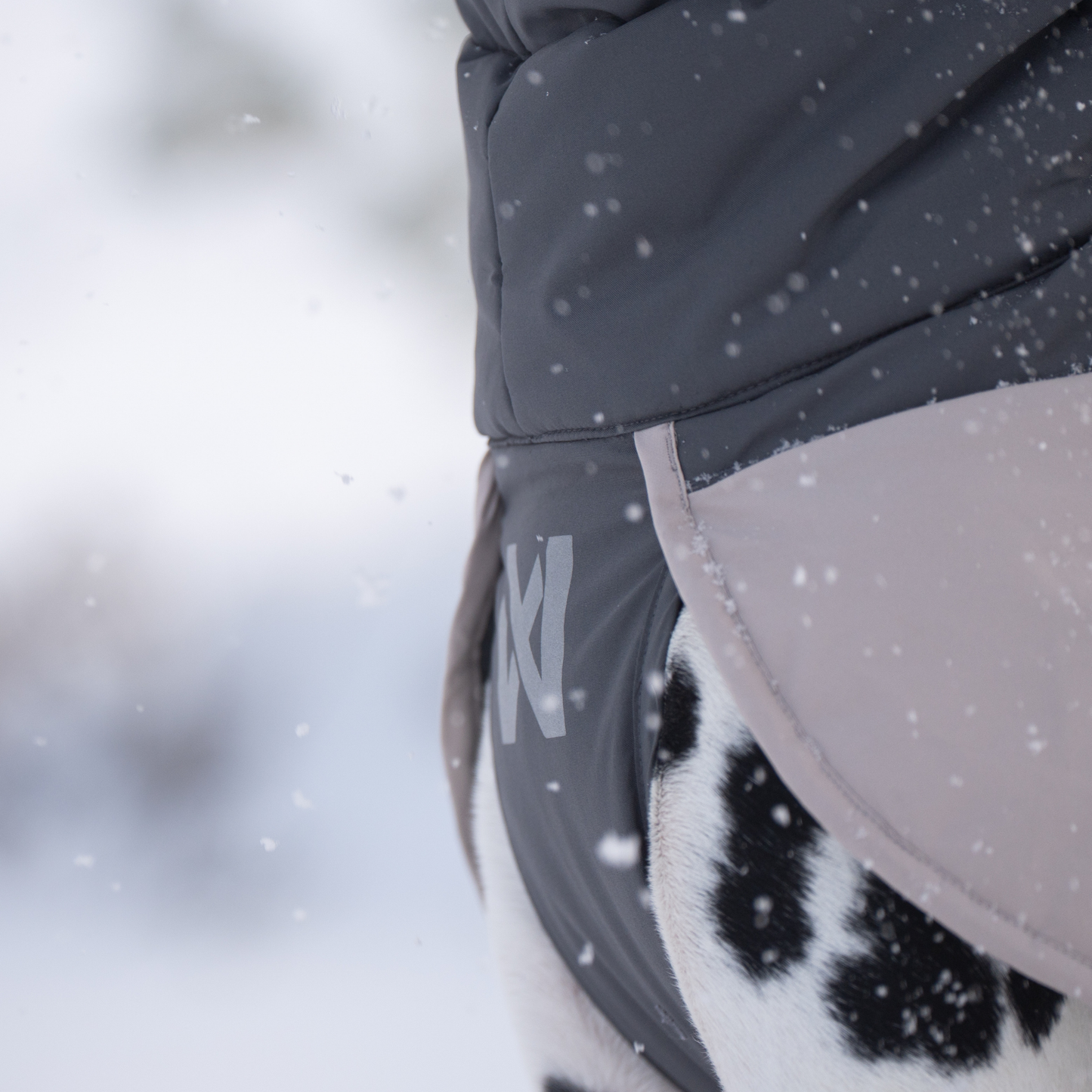 Glacier wool jacket 3.0