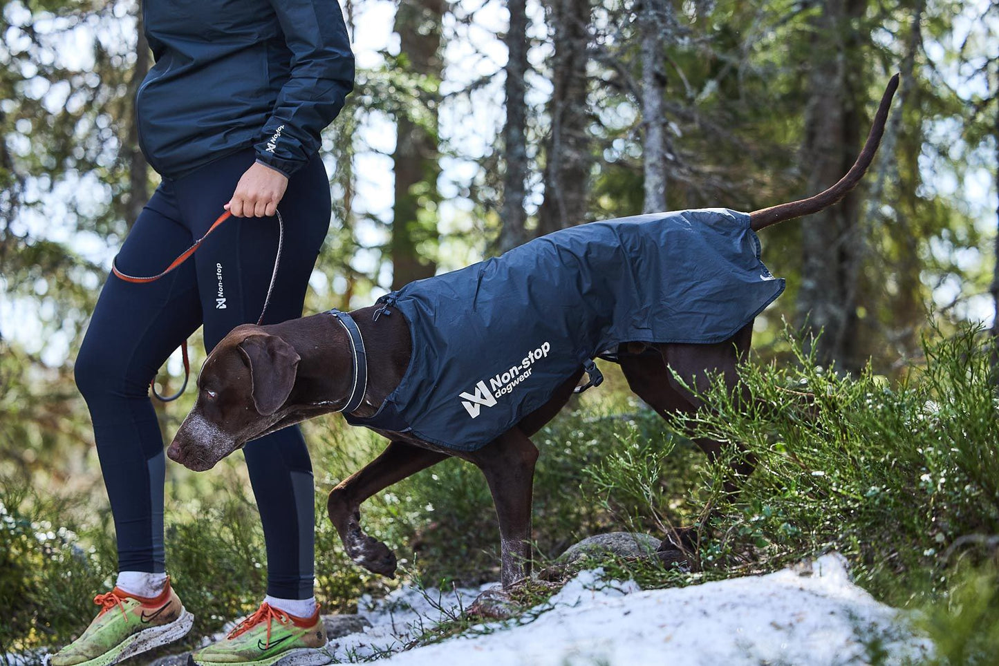 Trail light dog jacket | outlet