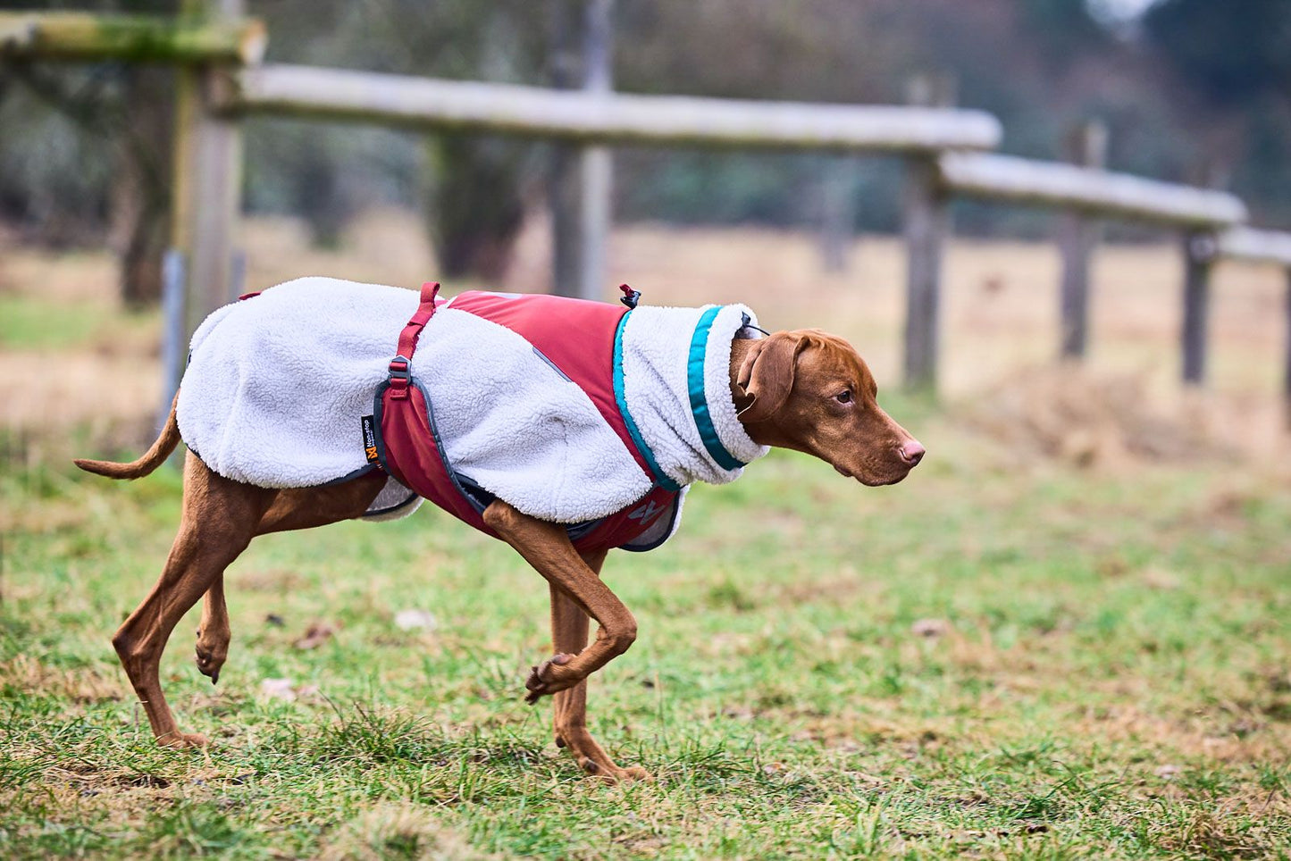 Trekking fleece jacket