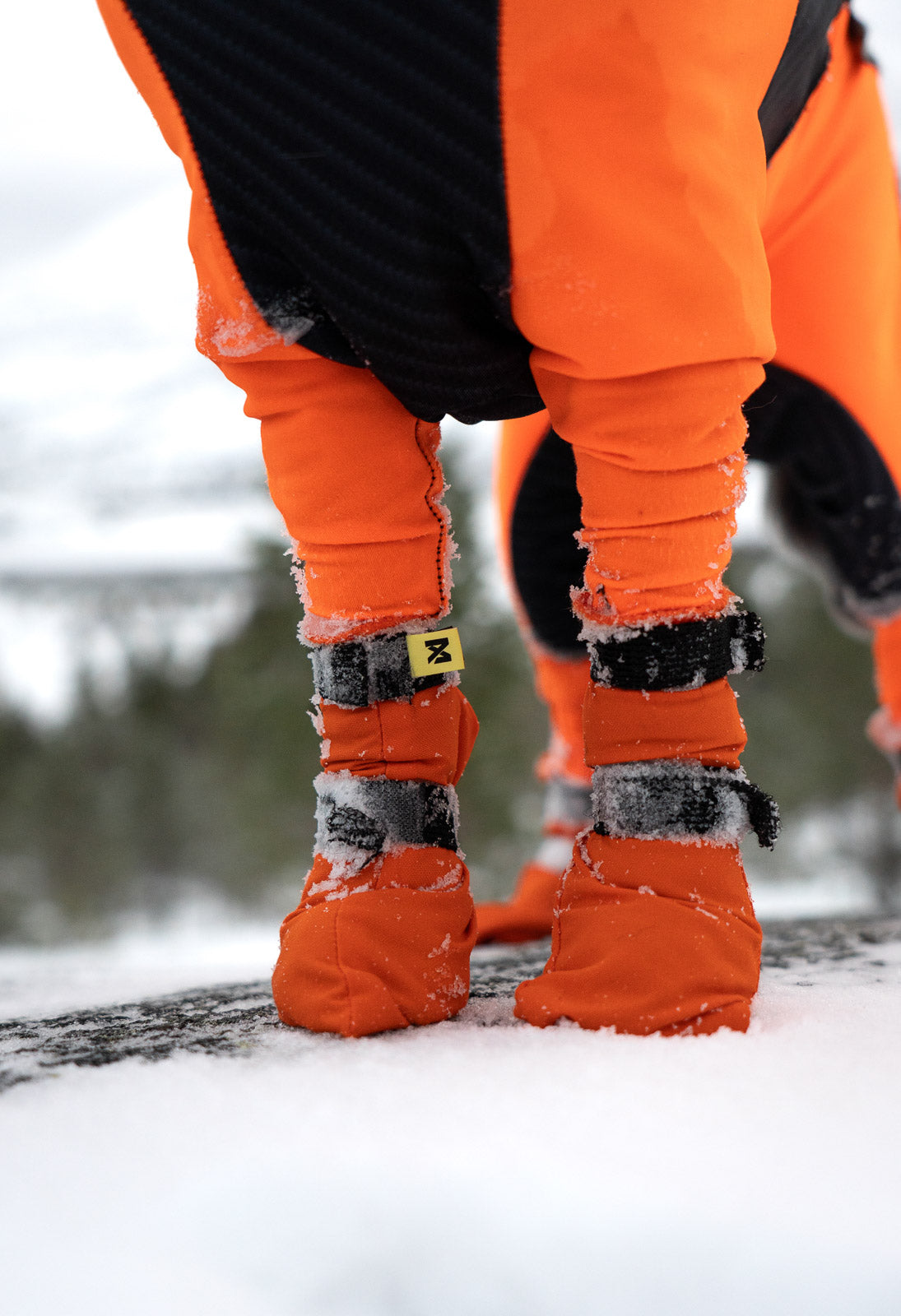 Contact bootie high | Outlet