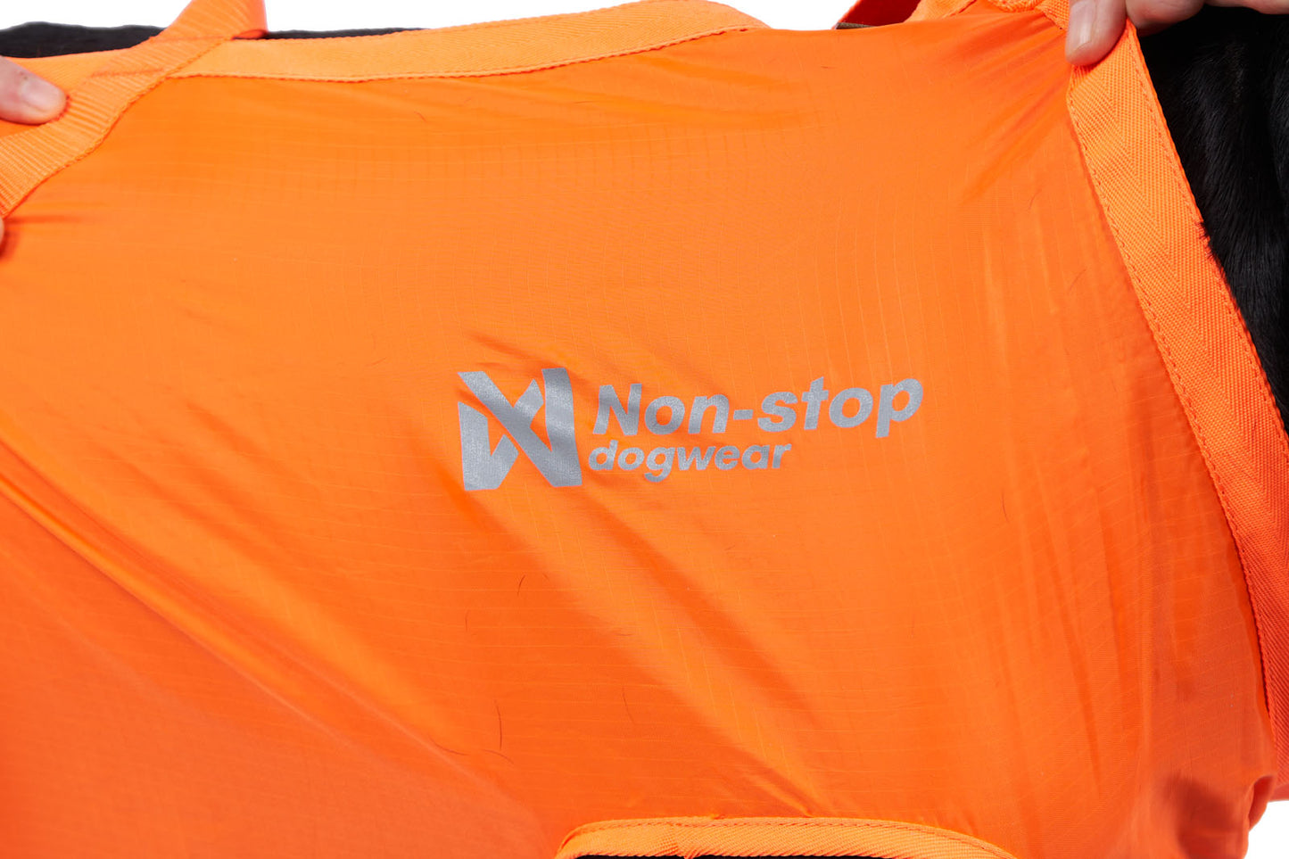 Dog resce sling