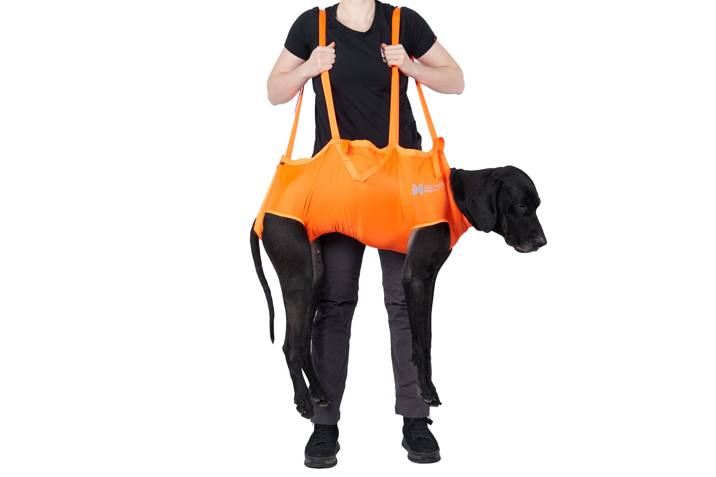 Dog resce sling