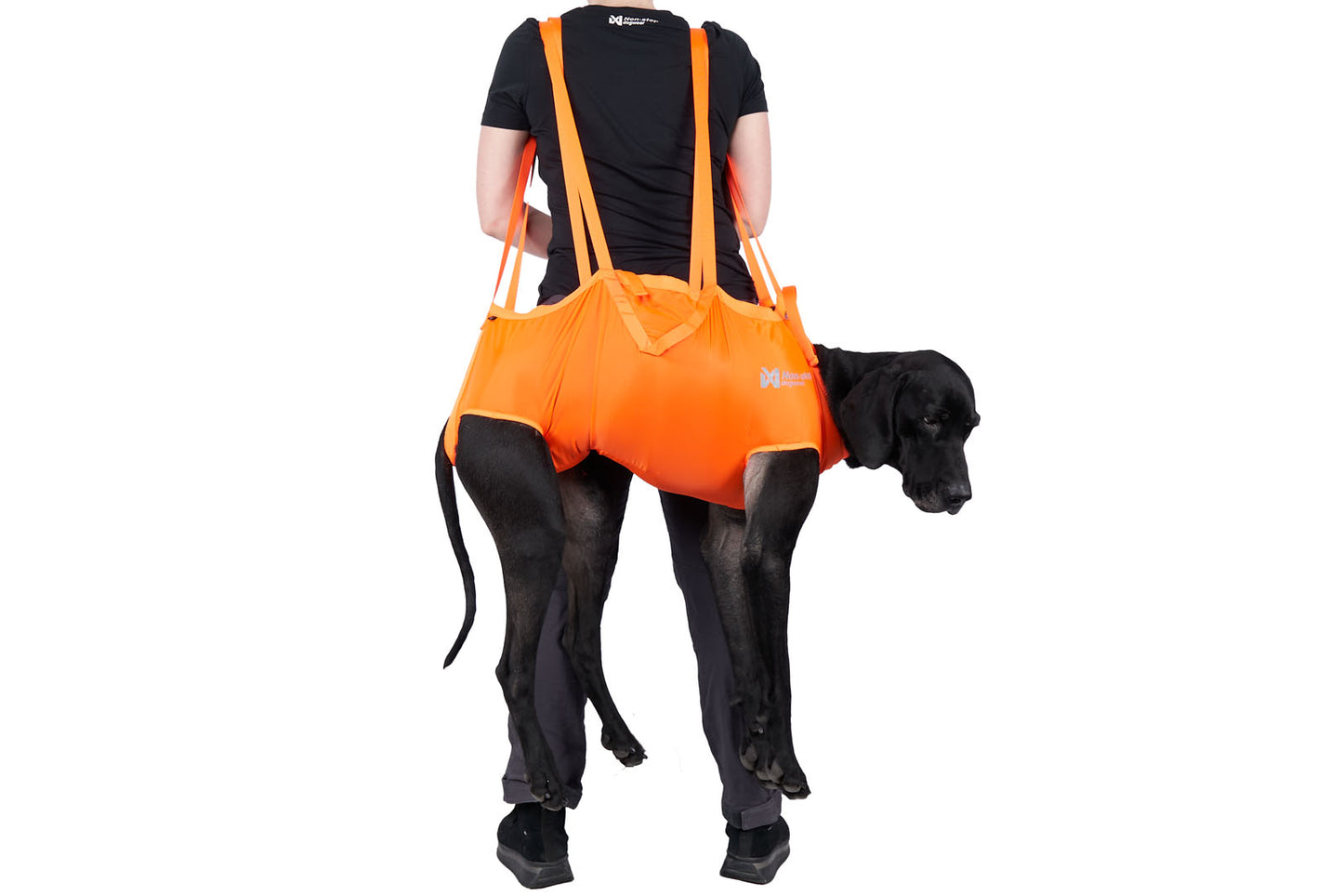 Dog resce sling