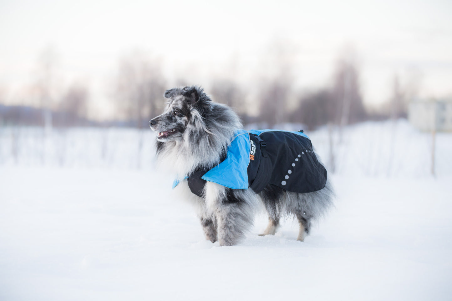Alpha Pro Jacket