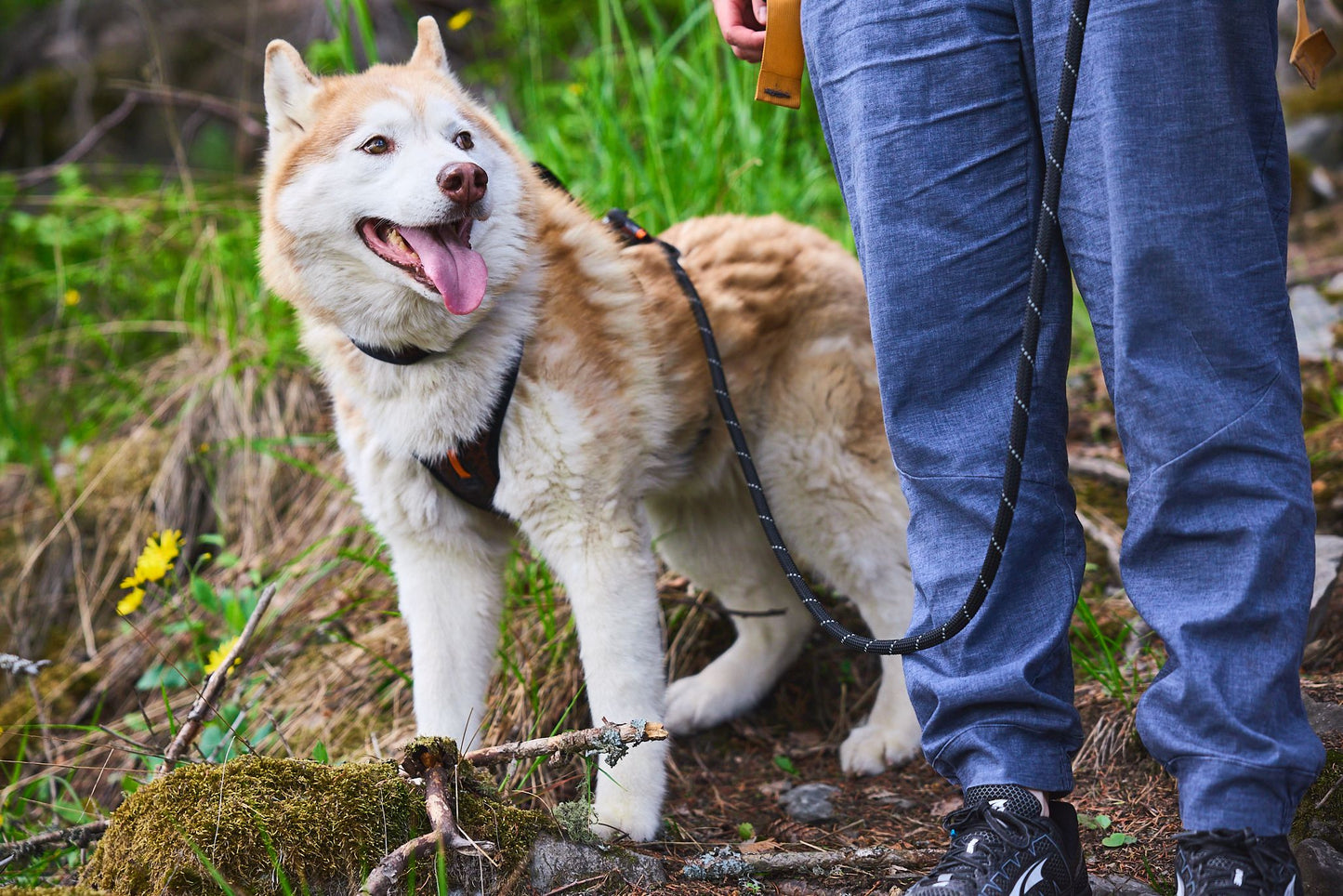 Rock leash