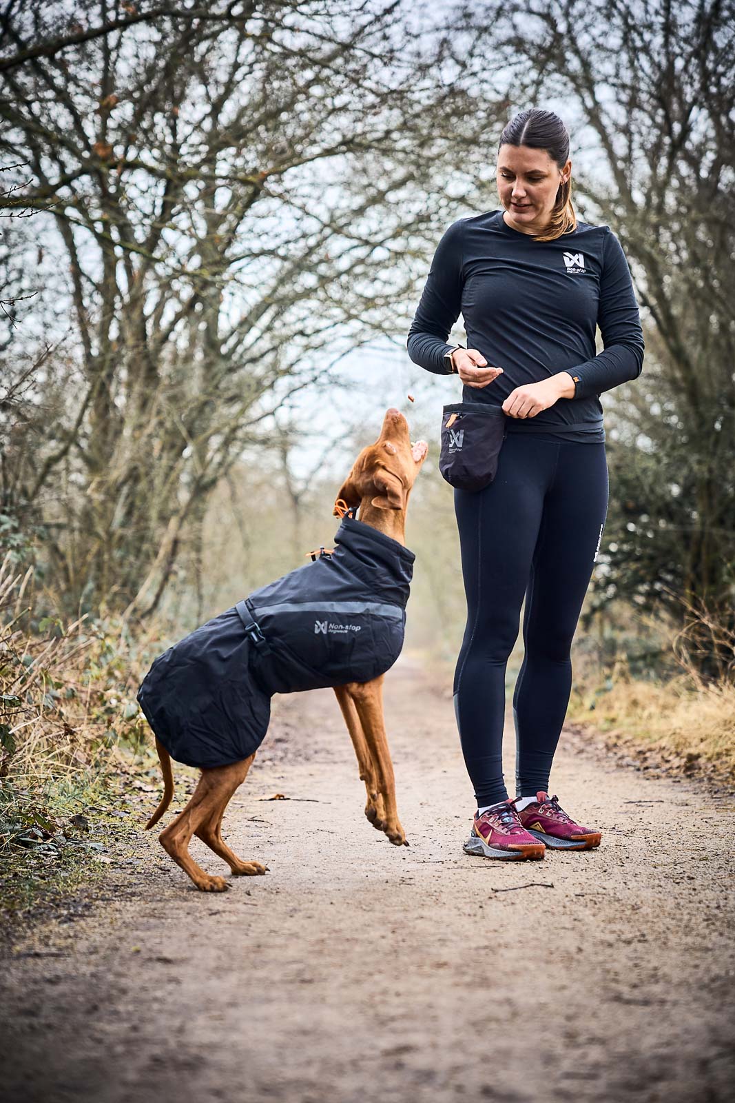 Trekking insulated dog jacket