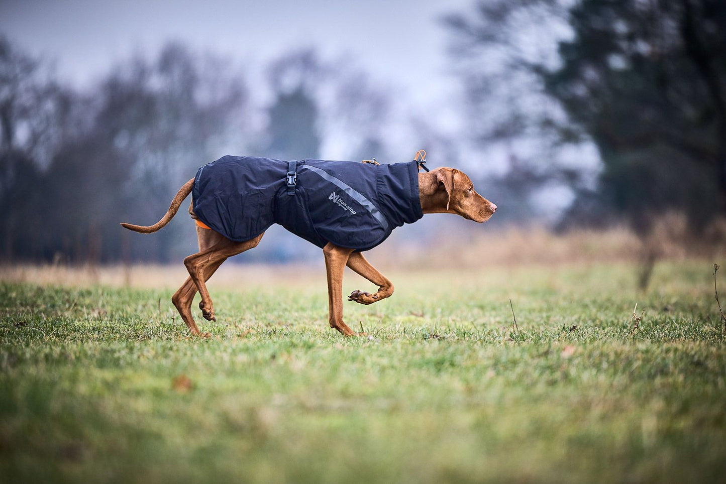 Trekking insulated dog jacket