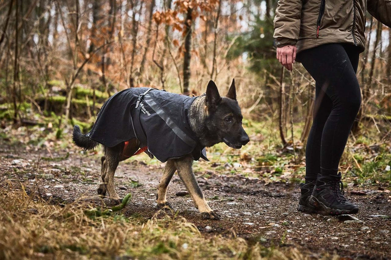 Trekking raincoat