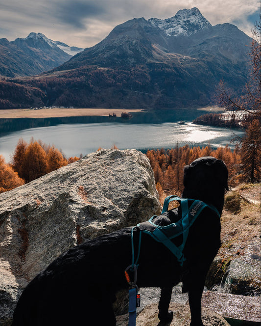Oberengadiner Seenwanderung