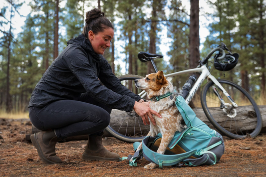 Hundetragerucksack beim Wandern: Wann sinnvoll & worauf achten?