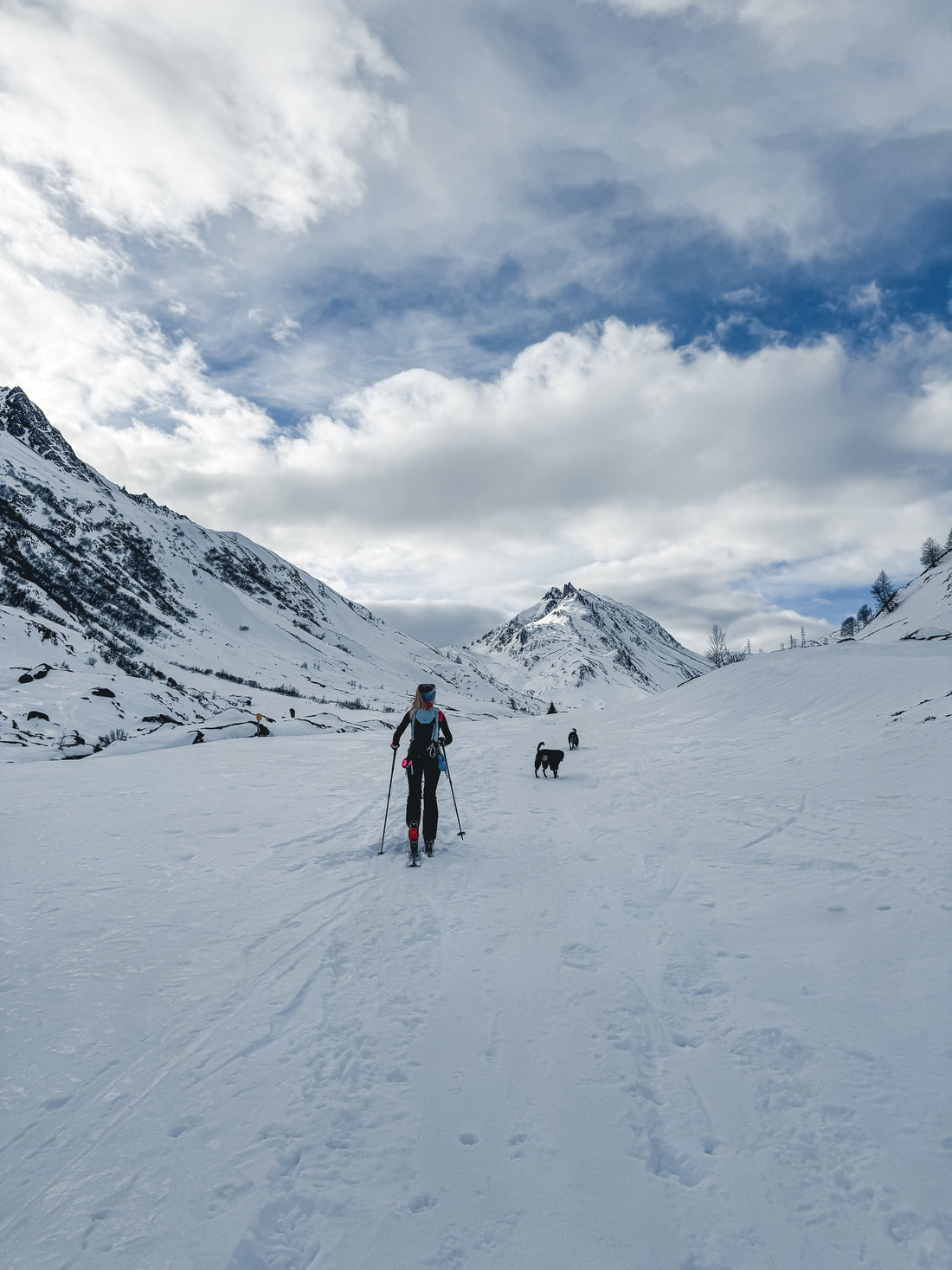 Mit Hund auf Skitour Teil 1 - Abenteuer im Schnee