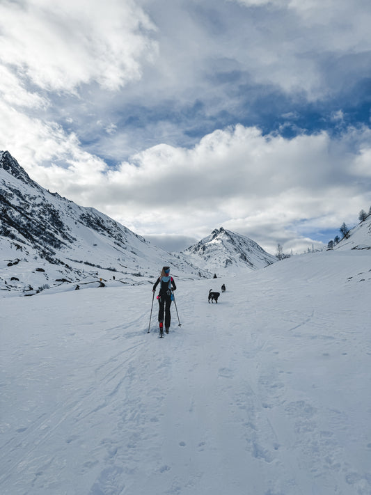 Mit Hund auf Skitour Teil 1 - Abenteuer im Schnee