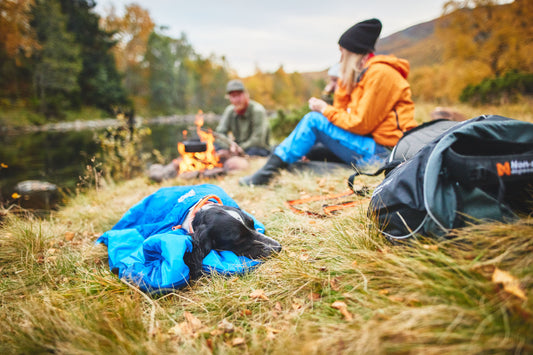 Wandern mit Hund: Was beachten?