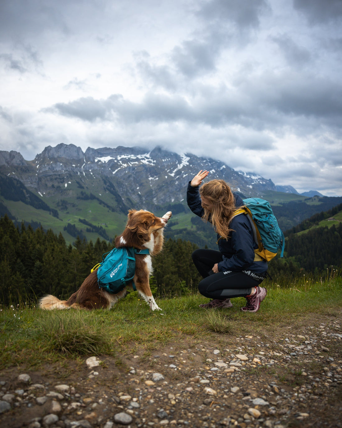 🐕 Rucksacktraining für Hunde – sinnvoll aufbauen, entspannt umsetzen