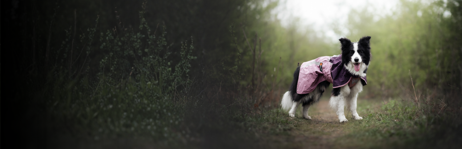 Hunde Regenmäntel