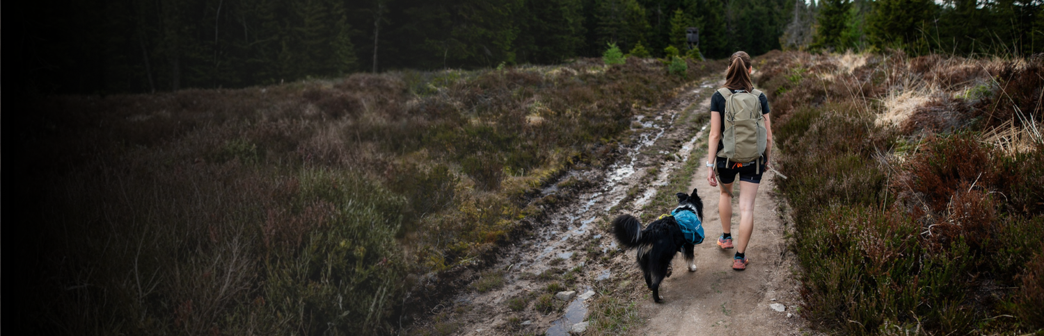 Hundepacktaschen für Wandern & Trekking
