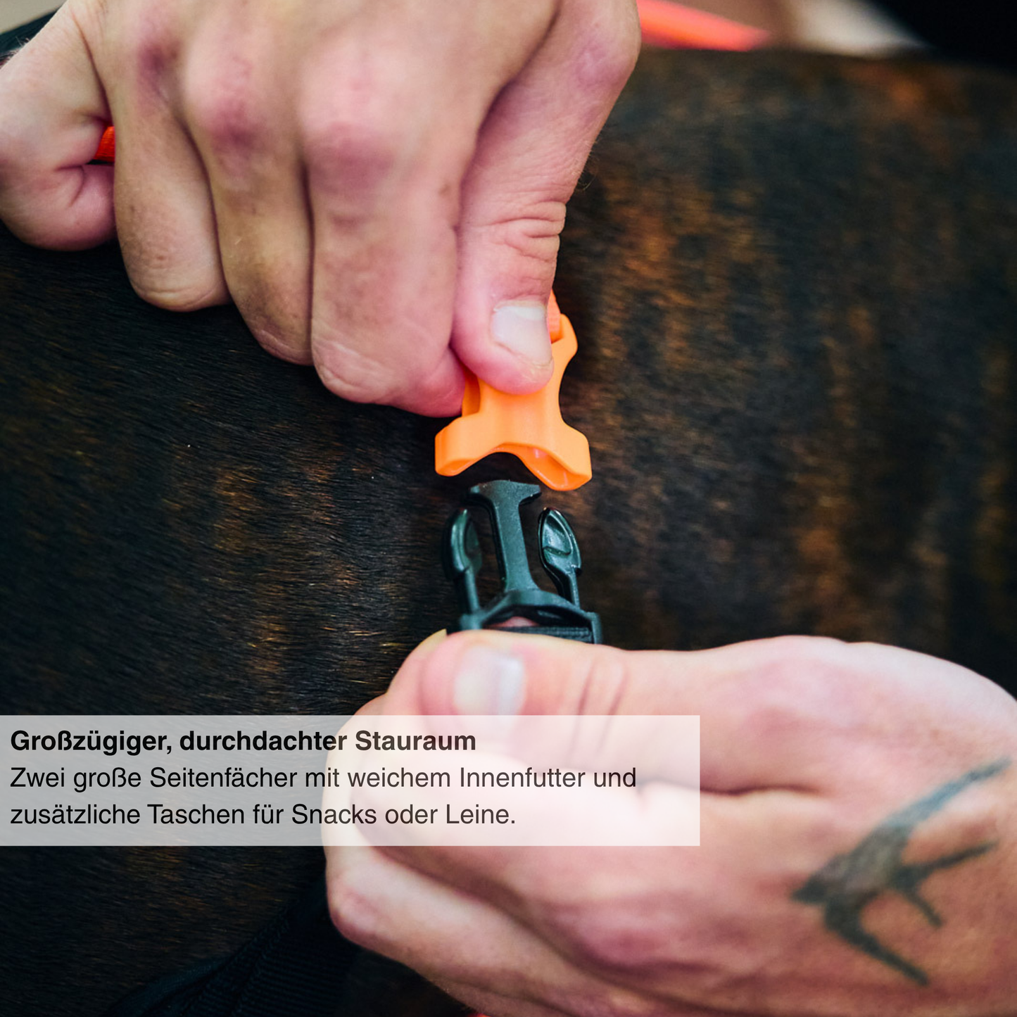 Rush harness
