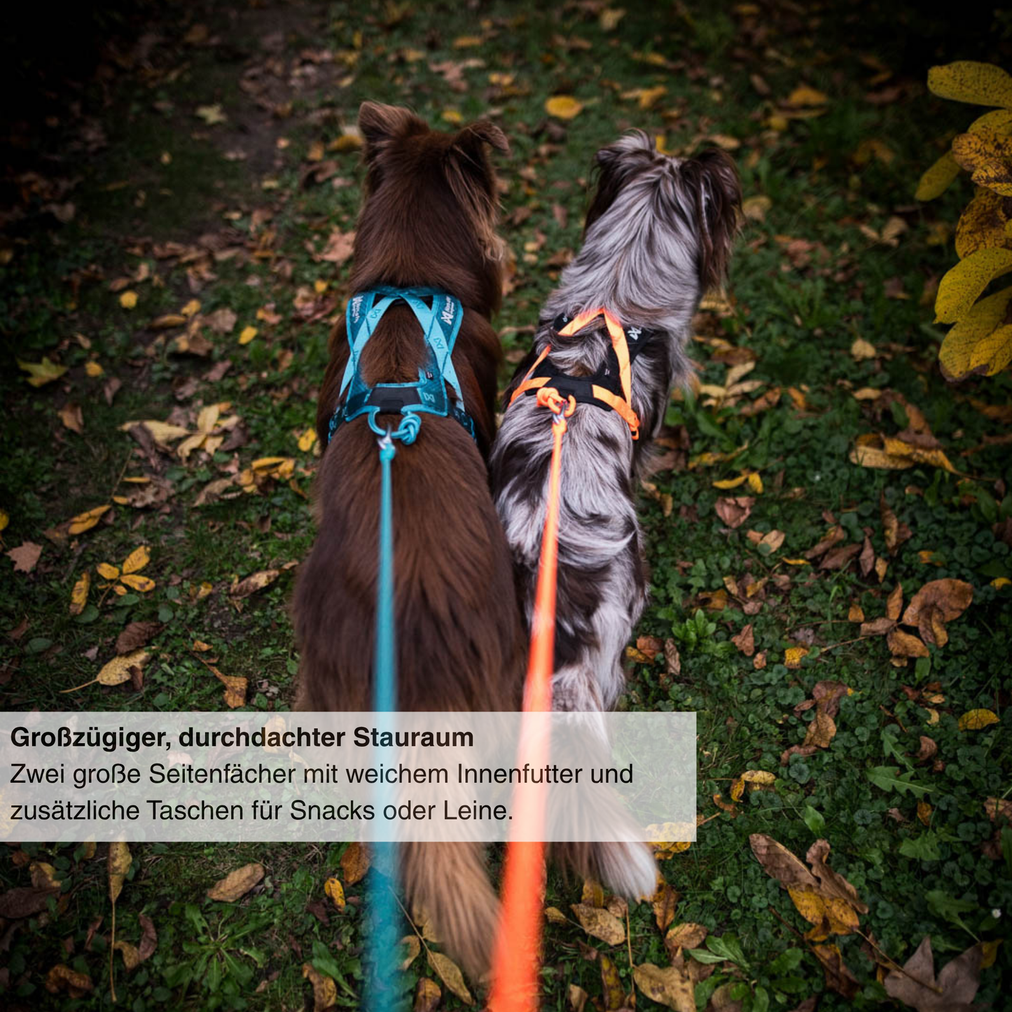 Rush harness