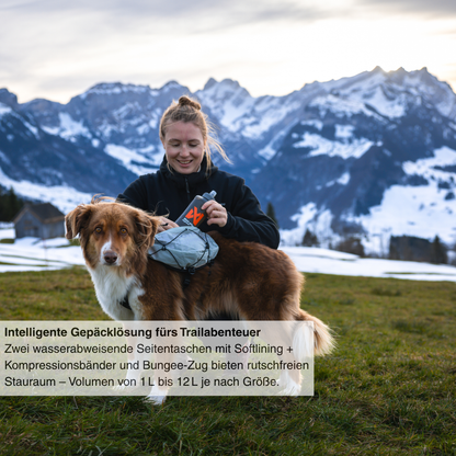 Trail Light Dog Backpack