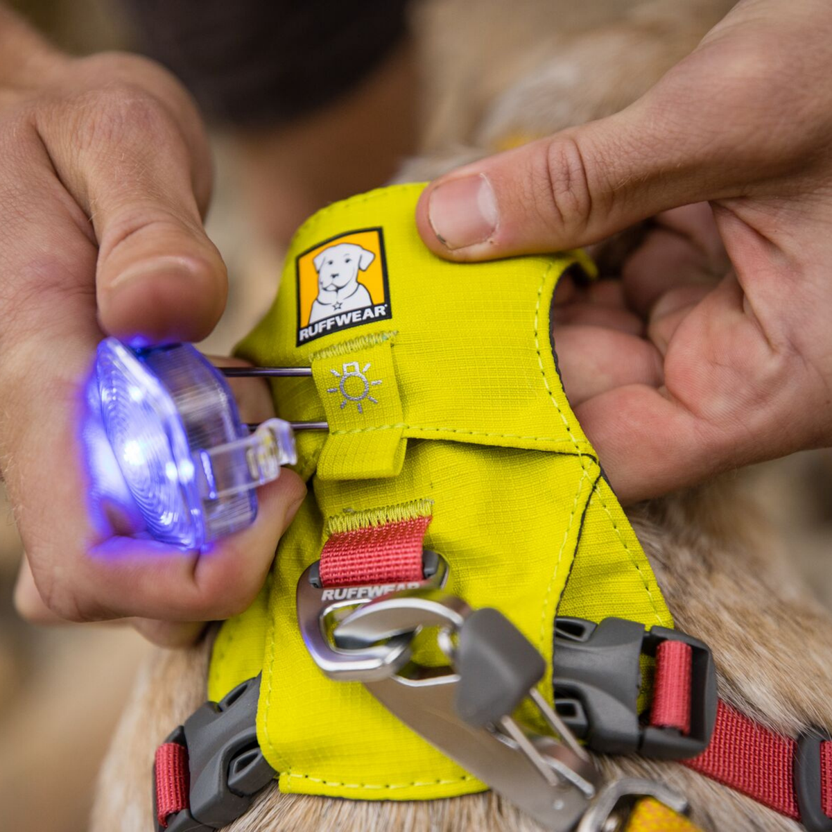 Ruffwear The Beacon™ – Clear Lake