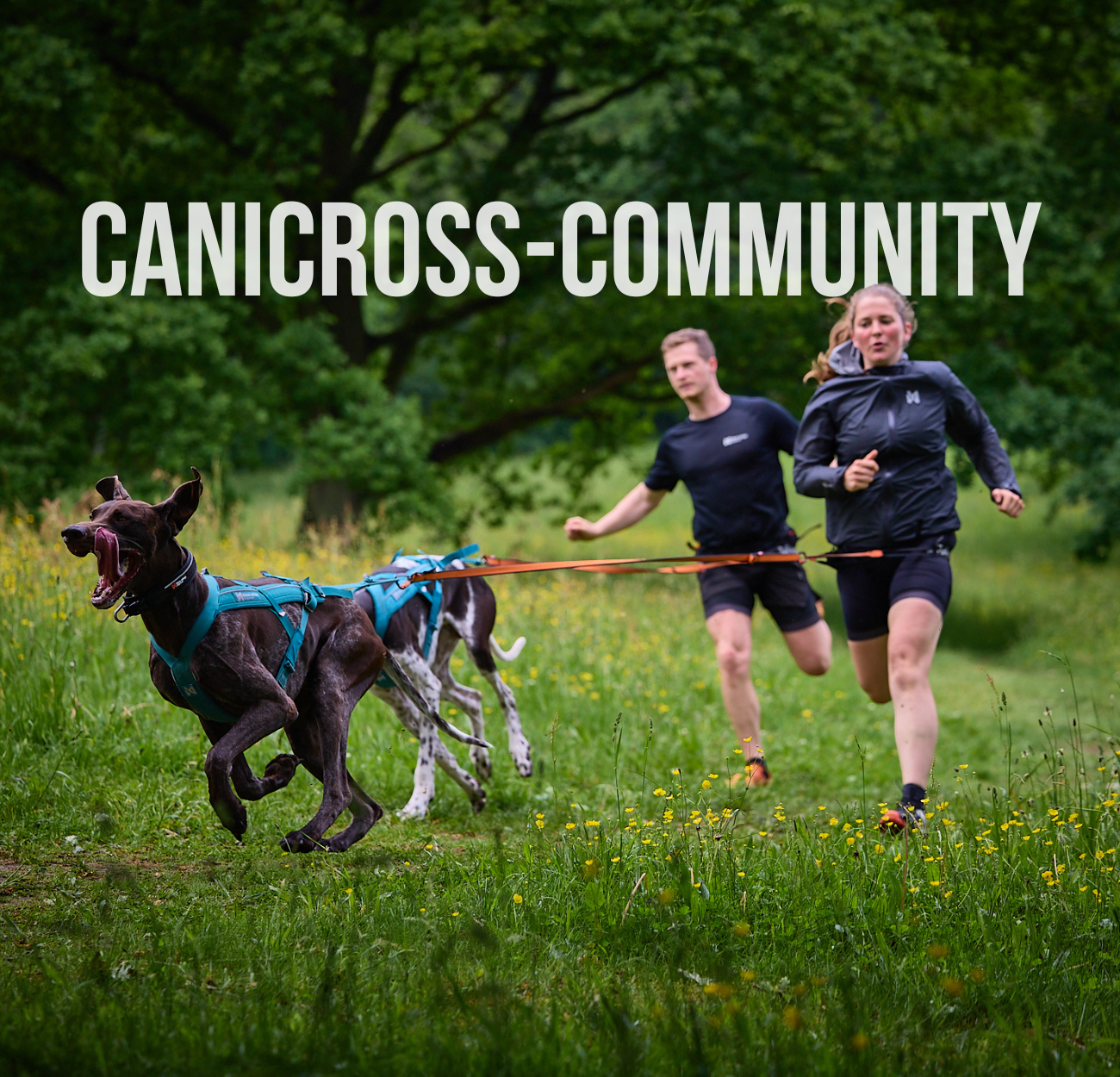 Beito Canicross Community beim gemeinsamen Lauf