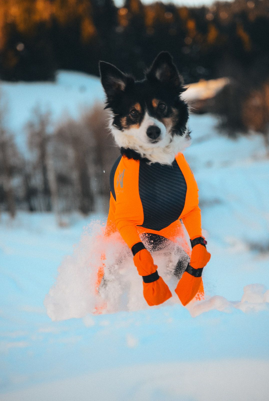 Schnee booties