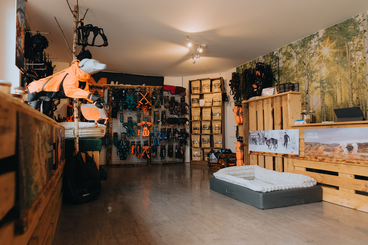 Beito shop – Beito by Sentier web GmbH