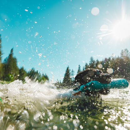 Lunker™ Floating Throw Toy
