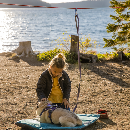 Knot-a-Hitch™ Dog Tether