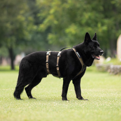 Line harness long WD