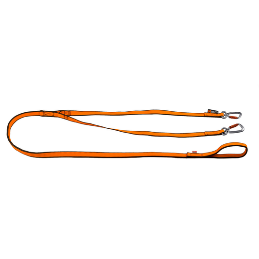 Bungee leash double