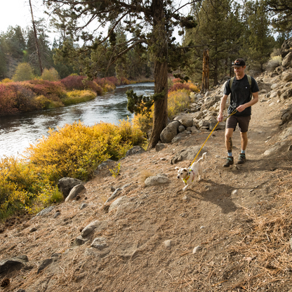 Hi & Light™ Lightweight Dog Harness